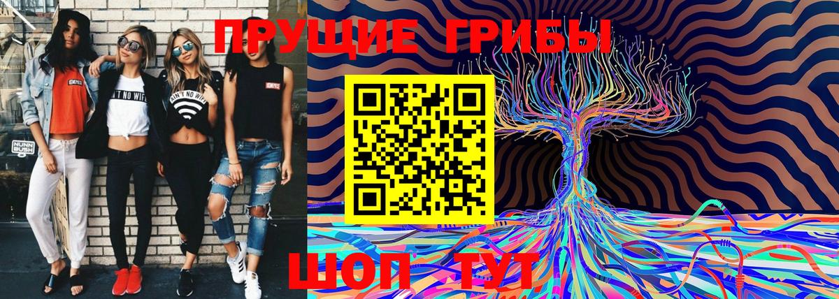 Краснокаменск  Галлюциногенные грибы прущие грибы  Вход с VPN 